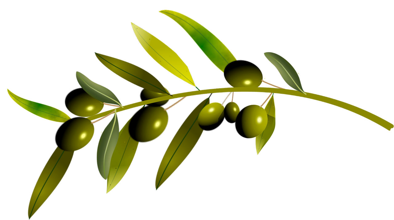 Italienisches natives Olivenöl extra online kaufen
