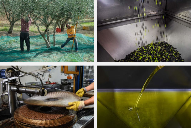Native Olivenöl Extra 100% aus Italien Online kaufen